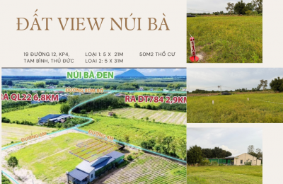 Đất ven DT784 – Tâm điểm đầu tư sinh lời tại Gò Dầu, Tây Ninh!